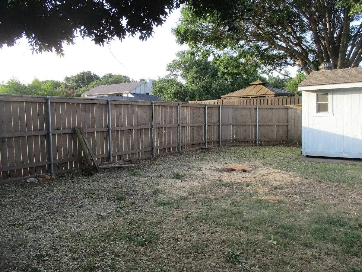 Cleared yard after professional tree removal in Charlton